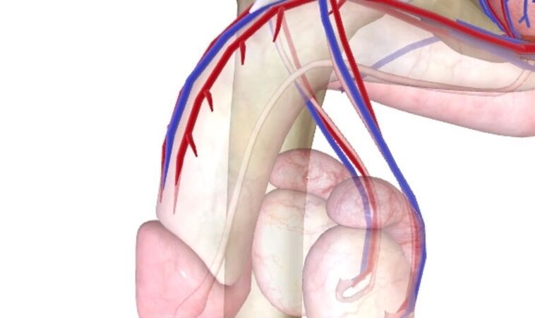 Rối loạn chức năng tình dục